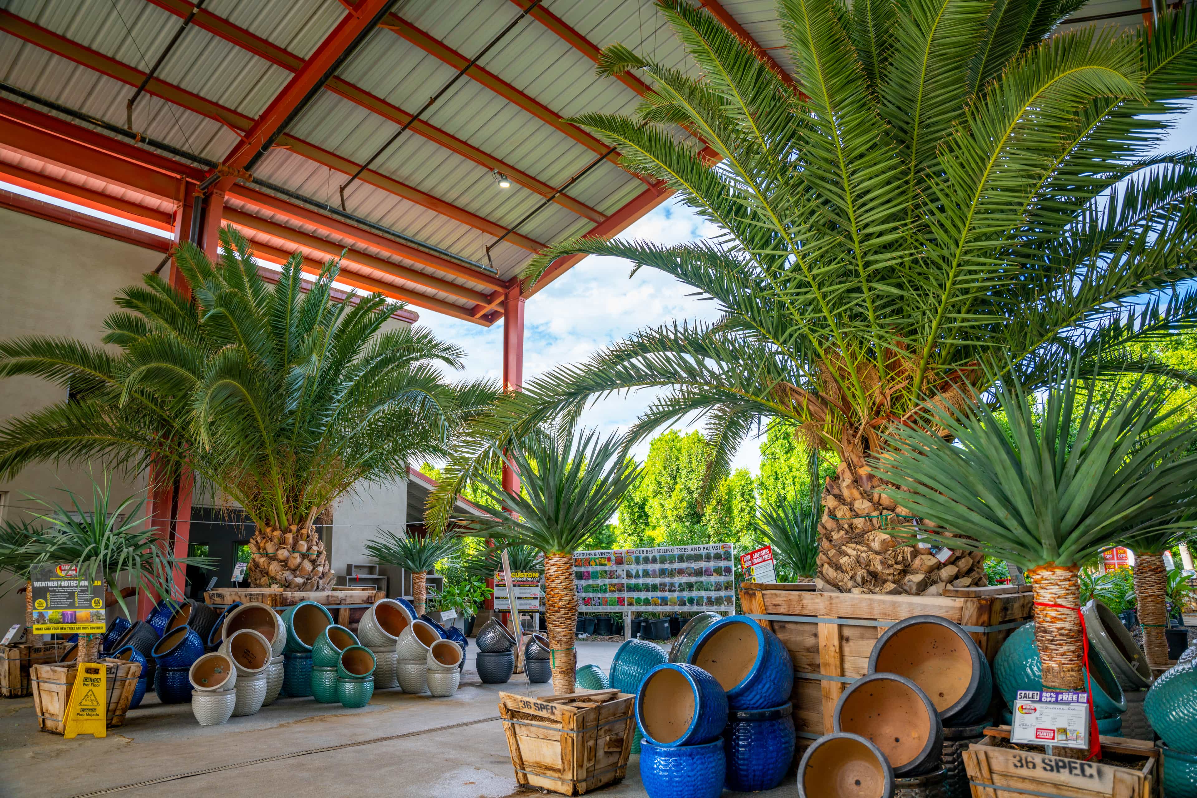 A pottery section of a California Moon Valley Nursery.