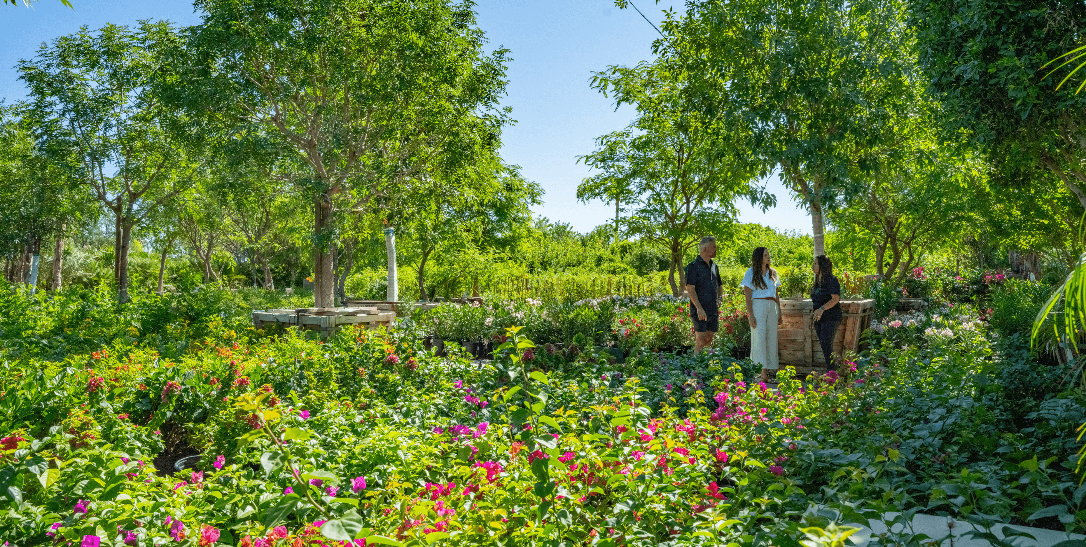 Customers with a sales representative in a Moon Valley Nurseries Location.