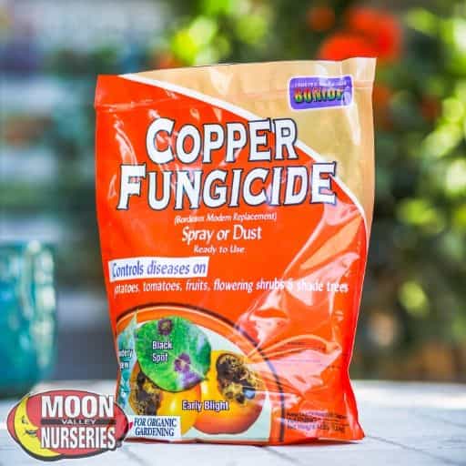 /c/o/copper fungicide_4.jpg